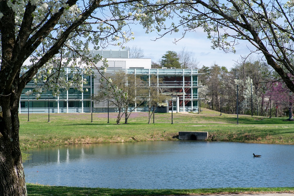 Capitol Tech Campus Pond